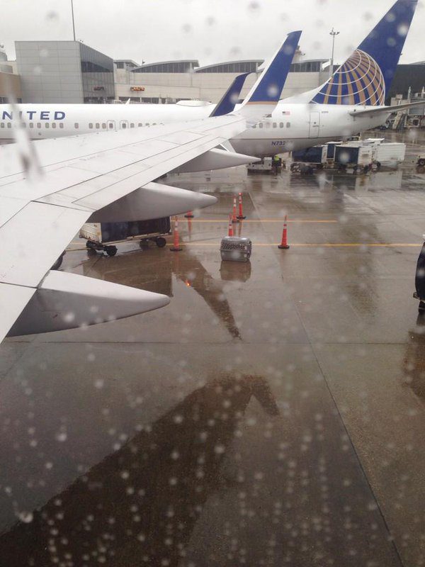 united airlines dog outside