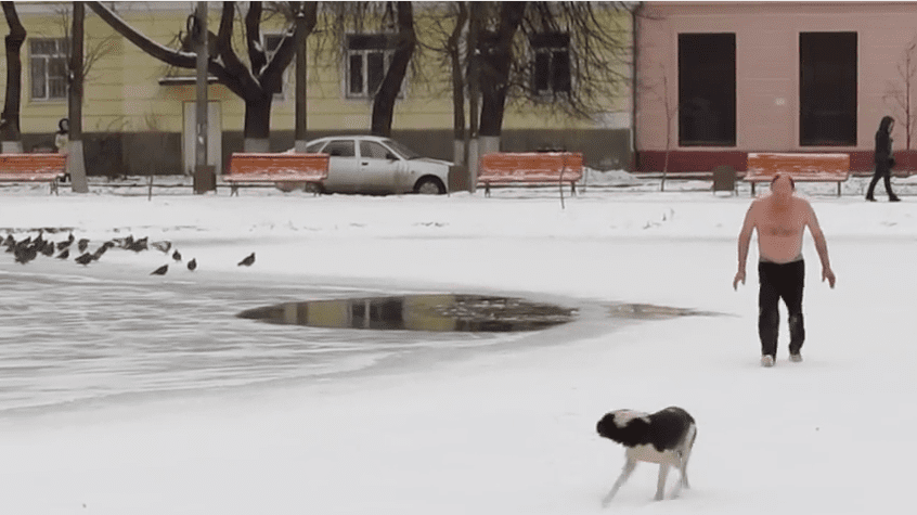 dog rescue frozen lake