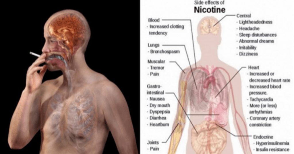 foods that cleanse body of nicotine