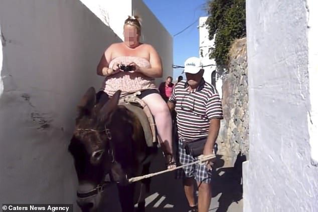 greece bans obese tourists from riding donkey