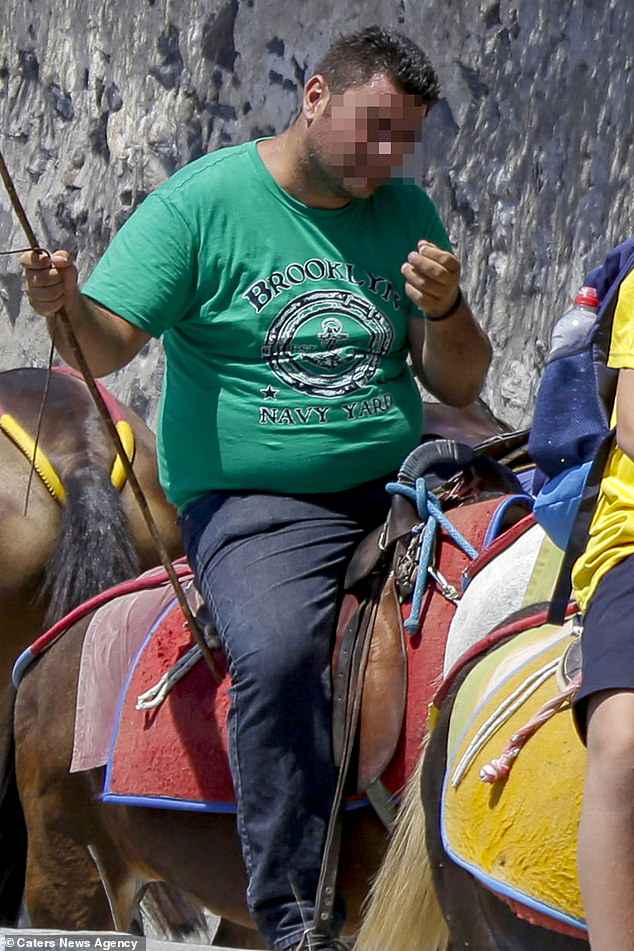 greece bans obese tourists from riding donkey
