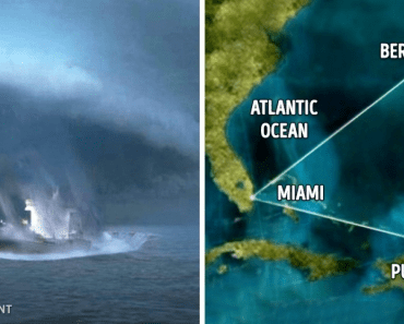 The Mystery Surrounding The Bermuda Triangle Might Have Finally Been Discovered…