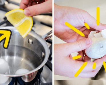 Helpful Culinary Tips That Will Change The Way You Cook Forever