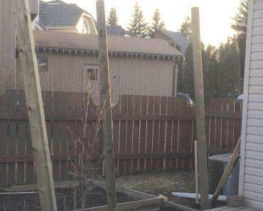 Clever Woman Builds The Perfect Wall To Keep Out Her Nosy Neighbors