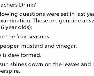 Ever Wondered Why Teachers Drink?