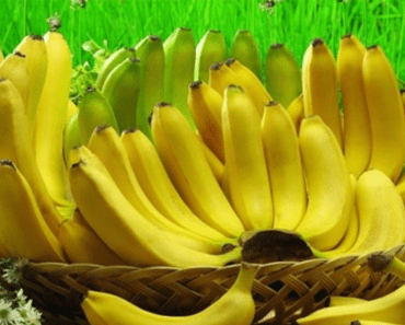 Why Bananas Are Better For Your Health Than You Probably Even Realize…