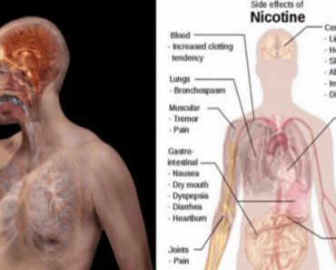 If You Are Trying To Quit Smoking, These Foods Help Rid Your Body Of Nicotine