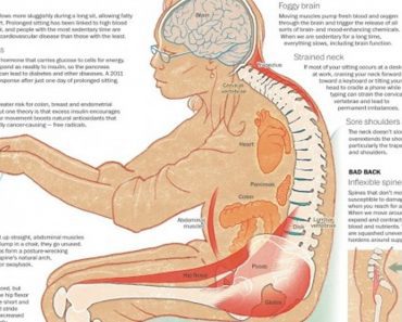 If You Sit Too Much, This Is Exactly What Happens To Your Body