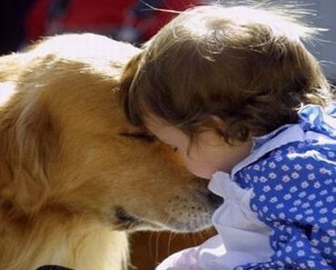 Study: Children Raised with Dogs are Healthier