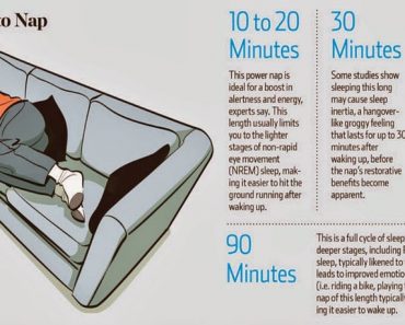 Napping Can Dramatically Increase Learning, Memory, Awareness, And More