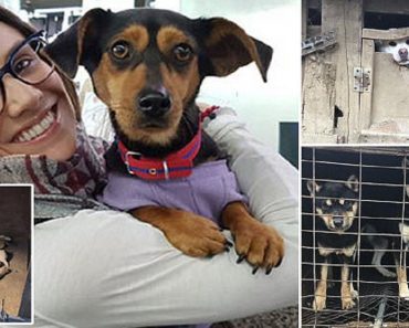 Figure Skater Adopts Second Pup To Save It From Dog Meat Industry