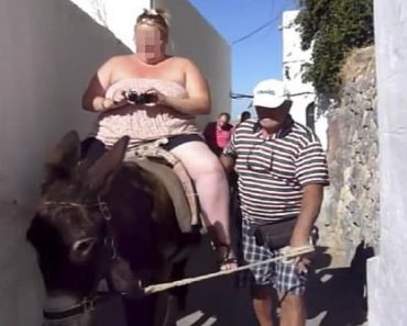 Too Fat For That Ass: Greece Bans Obese Tourists From Riding Donkeys