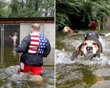 Hurricane Florence Hero Volunteer Rescues Six Dogs Abandoned In Cage