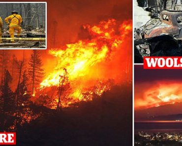 California Wildfire Is Joint Deadliest In State History With 29 Dead