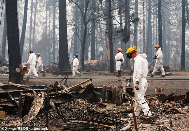 california wildfire looting