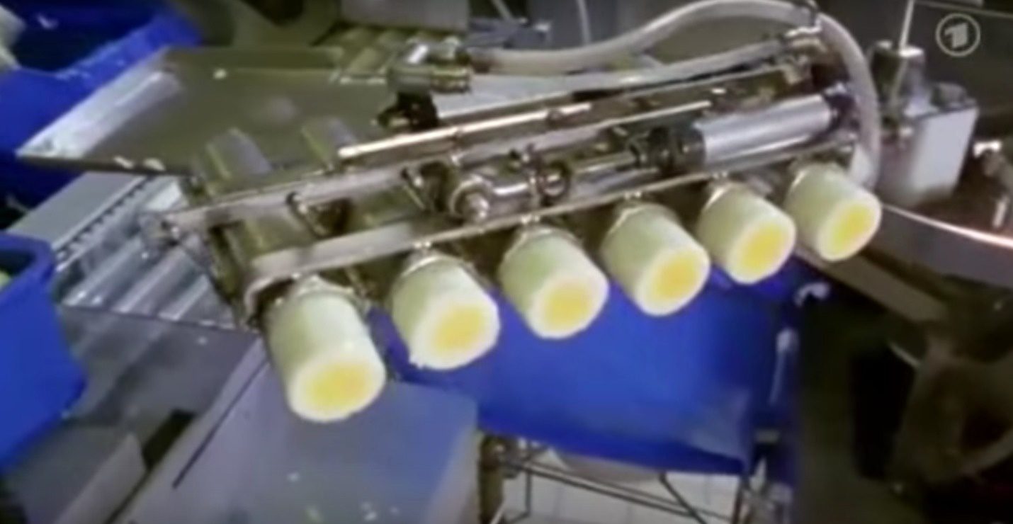 long egg process