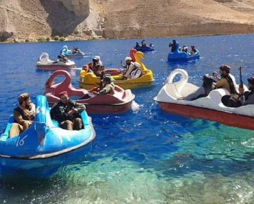Taliban Fighters Are Enjoying Swan Pedalos As Protests Continue Across Afghanistan