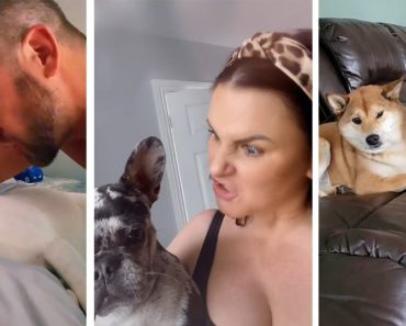 Talking Smack To Dogs On TikTok Is Actually Dangerous According To Experts