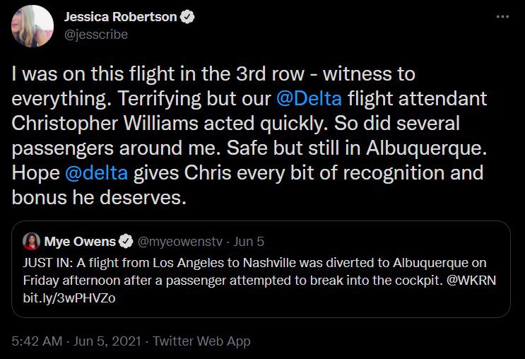 delta flight attendant zip ties hijacker