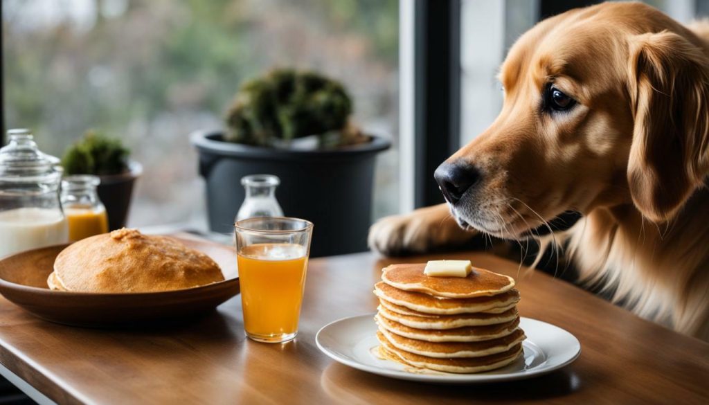 can i give my dog pancakes
