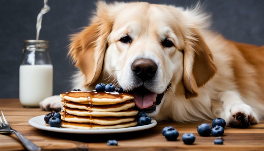 dog eating pancake